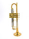 The Wonderful Professional Schagerl Academica TR-620L Bb Trumpet in Lacquer