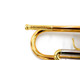 The Wonderful Professional Schagerl Academica TR-620L Bb Trumpet in Lacquer