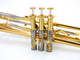 The Wonderful Professional Schagerl Academica TR-620L Bb Trumpet in Lacquer