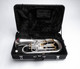 Schagerl James Morrison 3+1 Euphonium in silver plate! 