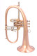 AR Resonance Sipiagin Flugelhorn