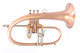 AR Resonance Sipiagin Flugelhorn