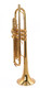 Pre-Owned Adams A5 Selected Trumpet in Gold Lacquer