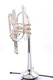 The Amazing Schagerl Raweni Bb Rotary Pre-Owned Trumpet in Silver Plate