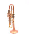 Taylor Nemesis Trumpet in Satin Matte Gold Lacquer