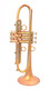 Taylor Nemesis Trumpet in Satin Matte Gold Lacquer