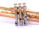 Taylor Nemesis Trumpet in Satin Matte Gold Lacquer
