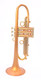 Taylor Nemesis Trumpet in Satin Matte Gold Lacquer