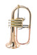 ACB B-Stock Blowouts: ACB Doubler's Flugelhorn