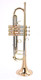 ACB  Shop Demo Adams A7 Selected Series Trumpet in Polished Lacquer 