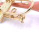 Taylor Phat Puppy Plus Flugelhorn in Clear Lacquer 