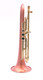 Taylor Phat Puppy Plus Flugelhorn in Clear Lacquer 