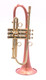 Taylor Phat Puppy Plus Flugelhorn in Clear Lacquer 