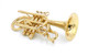 Back in stock!  The  Incredible  CarolBrass Legendary CCR-7772-yss(D)  custom Cornet
