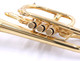 Back in stock!  The  Incredible  CarolBrass Legendary CCR-7772-yss(D)  custom Cornet
