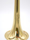 From the Collection:  Ultimate Adams  dream  Setup horn:  10-Belled  super custom Trumpet