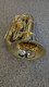 ACB  Shop demo  Adams 4/4 Bb Tuba in clear lacquer!  Save time and $$$ today 
