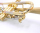 Taylor Piranha Trumpet in Clear Lacquer w/ Polished Accents and Bell and Bauerfeind valves