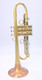Taylor Piranha Trumpet in Clear Lacquer w/ Polished Accents and Bell and Bauerfeind valves