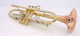 Taylor Piranha Trumpet in Clear Lacquer w/ Polished Accents and Bell and Bauerfeind valves