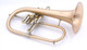 Pre-Owned Adams F2 Selected Series Flugelhorn in Satin Lacquer 
