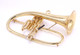The Amazing Bell Flugelhorn in Clear Lacquer 