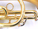 Carolbrass CCR-3880-GSS-Bb Cornet with Satin Bell
