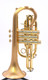 Carolbrass CCR-3880-GSS-Bb Cornet with Satin Bell