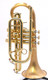 Carolbrass CCR-3880-GSS-Bb Cornet with Satin Bell