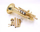 The cool CarolBrass Convertible Pocket Trumpet  (Keys of C and Bb)! 
