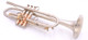 AR Resonance Feroce Trumpet in Raw Brass 