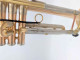 Thane  Sequoia Trumpet in Brushed Raw Brass 