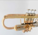Thane  Sequoia Trumpet in Brushed Raw Brass 
