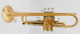 Thane  Sequoia Trumpet in Brushed Raw Brass 