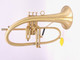 The Bell AXIS  Model Flugelhorn with large yellow Brass Bell!
