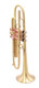 Bell Trumpets The Omni Trumpet in Satin Lacquer 