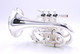 ACB Doubler's Large Bell Pocket Trumpet NEW 2026 FINISH OPTION!