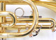 Carolbrass CCR-2000-YSS-L Bb Cornet 