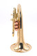 Taylor by Carolbrass Phat Puppy Pocket Flugelhorn in Clear Lacquer 