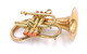 Taylor by Carolbrass Phat Puppy Pocket Flugelhorn in Clear Lacquer 