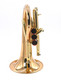 Taylor by Carolbrass Phat Puppy Pocket Flugelhorn in Clear Lacquer 