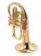 Taylor by Carolbrass Phat Puppy Pocket Flugelhorn in Clear Lacquer 