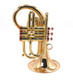 Taylor by Carolbrass Phat Puppy Pocket Flugelhorn in Clear Lacquer 