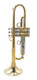 Custom One-of-a-kind Del Quadro  Trumpet with 5.5 inch bell