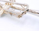 Super deal!  Shop  Demo Schagerl Willie Murrillo Trumpet in Silver Plate