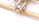 Böhme caLLeo Flugelhorn in Brushed Lacquer 