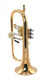S.E. Shires SOLO  Custom Bb Flugelhorn in lacquer 