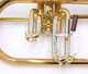 S.E. Shires SOLO  Custom Bb Flugelhorn in lacquer 