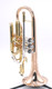 Pre-Owned Getzen 800DLX Eterna Bb Cornet in Clear Lacquer 