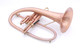 Bell BTF9 Axis Model Flugelhorn w/ Copper Bell in Satin Lacquer 